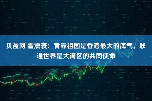 贝盈网 霍震寰：背靠祖国是香港最大的底气，联通世界是大湾区的共同使命