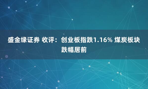 盛金缘证券 收评：创业板指跌1.16% 煤炭板块跌幅居前