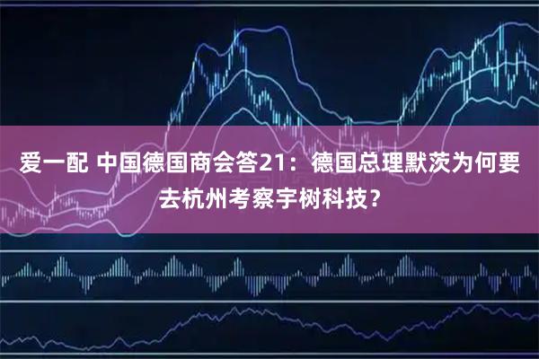 爱一配 中国德国商会答21：德国总理默茨为何要去杭州考察宇树科技？